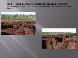 Полезные ископаемые Саратовской области, слайд 8