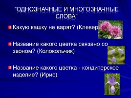 Использование метода проектов как одного из условий личностно - ориентированного обучения русскому языку и литературе, слайд 25
