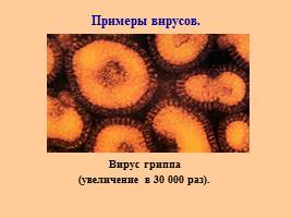 Вирусы - Строение и классификация, слайд 10