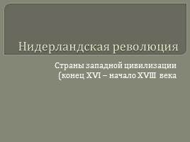 Нидерландская революция 7 класс