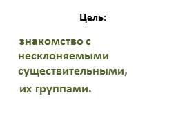 Несклоняемые существительные, слайд 6