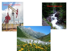 Природные комплексы предгорий и гор, слайд 4