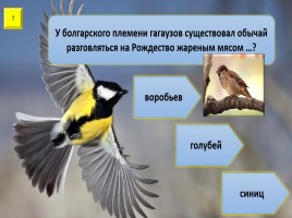 Игра с выбором ответа «Все о птицах», слайд 8