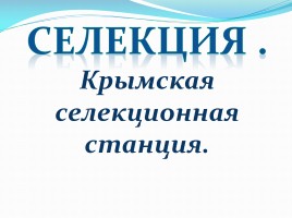 Крымская селекционная станция, слайд 1