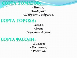 Крымская селекционная станция, слайд 11