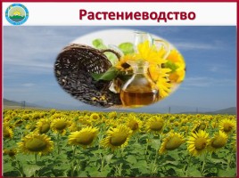 ЭГХ, промышленность и сельское хозяйство Восточного Казахстана, слайд 33