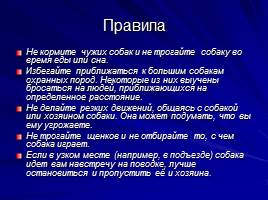 Про кошек и собак - Окружающий мир 2 класс, слайд 19