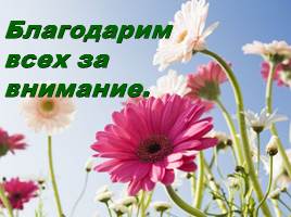 Трудности адаптации пятиклассников в школе - Родительское собрание, слайд 21