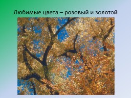 Проектно-исследовательской работы «Есенин - это вечное…», слайд 71