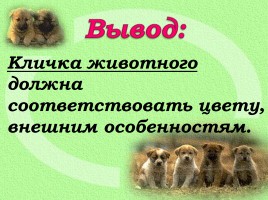 Большая буква в кличках животных, слайд 7