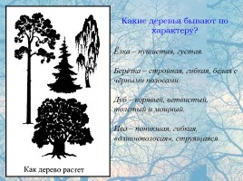 Графика зимнего леса, слайд 18