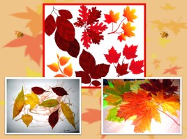 Рисуем рамку с осенними листьями, слайд 7