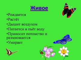 Живая и неживая природа, слайд 21