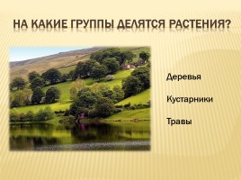 Дикорастущие и культурные растения, слайд 2