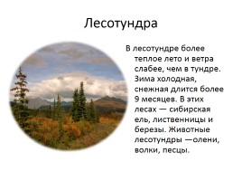 Природа России, слайд 8