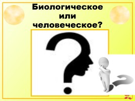 Иссследовательская работа на уроках русского языка как способ формирования метапредметных компетенций, слайд 32