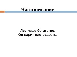 Повторение об именах существительных, слайд 7