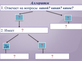 Разряды имён прилагательных, слайд 7