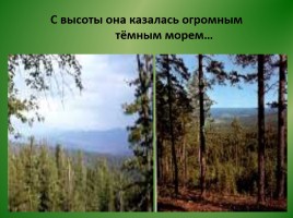 Виктор Петрович Астафьев «Васюткино озеро» (анализ), слайд 17