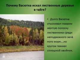 Виктор Петрович Астафьев «Васюткино озеро» (анализ), слайд 19
