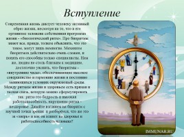 Биоритмы и их влияние на адаптивные возможности человека, слайд 3