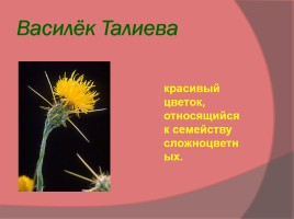 Красная книга «Растений и животных», слайд 10