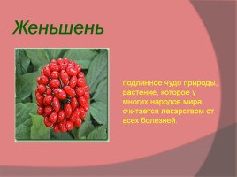 Красная книга «Растений и животных», слайд 9