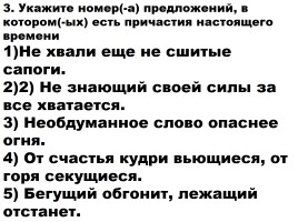 Тест по теме «Причастие обобщение», слайд 3