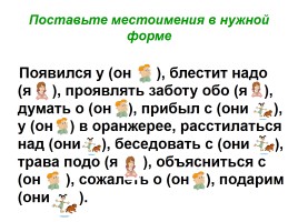 Урок русского языка в 6 классе «Местоимение как часть речи», слайд 13