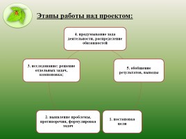 Проектная деятельность учащихся на уроках и внеурочное время в рамках реализации ФГОС, слайд 10