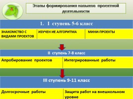 Проектная деятельность учащихся на уроках и внеурочное время в рамках реализации ФГОС, слайд 13