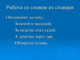 Русский язык 3 класс «Личные местоимения», слайд 13