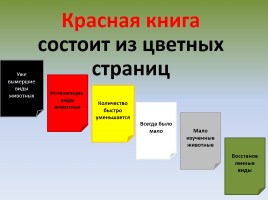 Страницы Красной книги, слайд 3