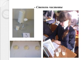 Исследовательская работа «Исследование органолептических показателей молока», слайд 14