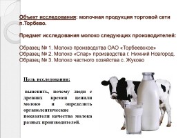 Исследовательская работа «Исследование органолептических показателей молока», слайд 7