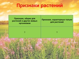 Ботаника - признаки растений, слайд 14
