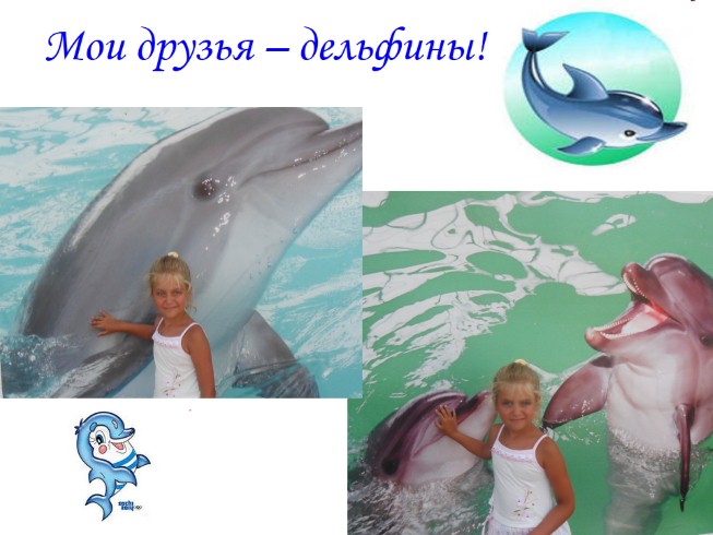 Мои друзья – дельфины!
