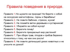 Проектная деятельность «Красная книга России», слайд 34
