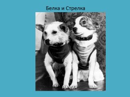 К непосредственной образовательной деятельности в средней группе «День космонавтики», слайд 5