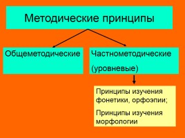 Лекция «Принципы обучения русскому языку», слайд 5