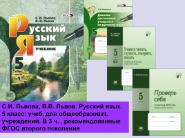 Лекция «Средства обучения русскому языку - Средства наглядности», слайд 18