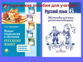 Лекция «Средства обучения русскому языку - Средства наглядности», слайд 28