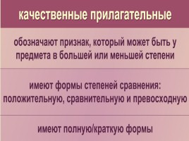 Лекция «Средства обучения русскому языку - Средства наглядности», слайд 70