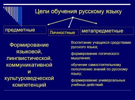 Лекция «Русский язык как учебный предмет в разных типах средних учебных заведений», слайд 39