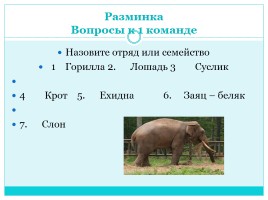 Звездный час «Млекопитающие», слайд 2