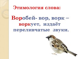 Слово «Воробей» (русский язык), слайд 3