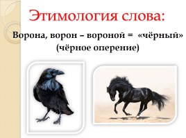 Слово «Ворона» (русский язык), слайд 3