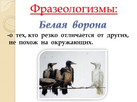 Слово «Ворона» (русский язык), слайд 5