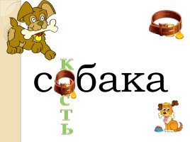 Слово «Собака» (русский язык), слайд 10