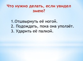 Урок окружающего мира в 1 классе «На суше и в воде 2 часть», слайд 12